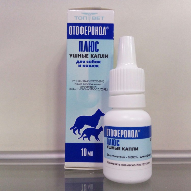 Воспаление подушечек лап