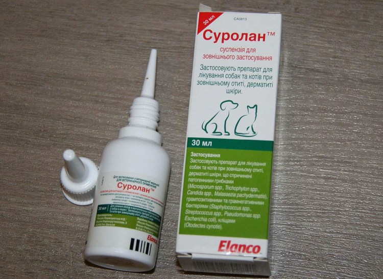 Подкожный клещ демодекс у собак