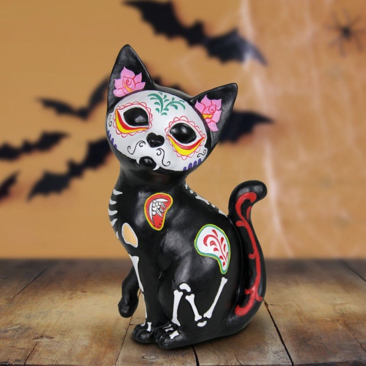 Коты из Мексики