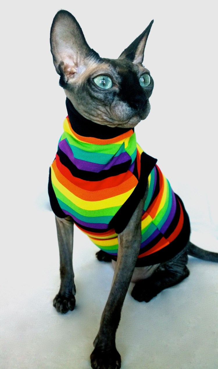 Сфинкс Петерболд