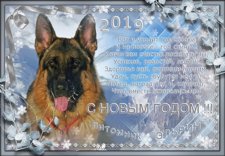 Пороги собак