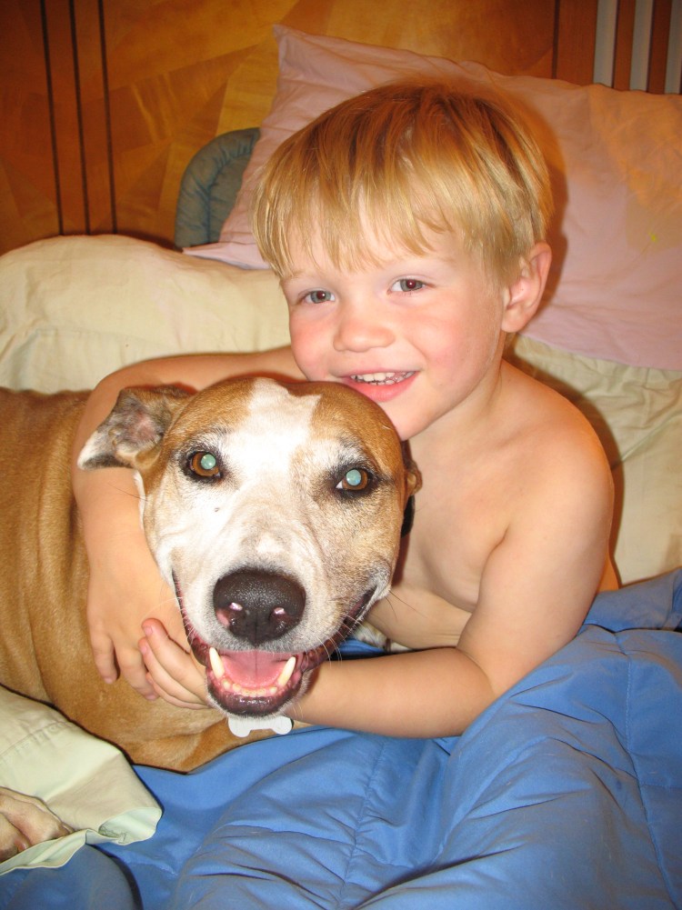 Дети с собакой на улице