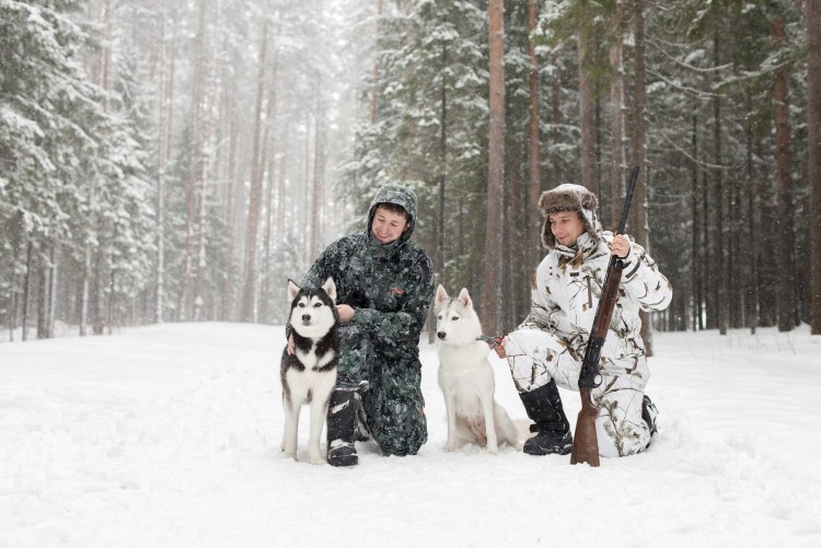 Александр Мельников картина охота