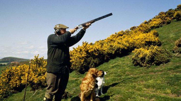 Охотник с собакой русская пегая гончая