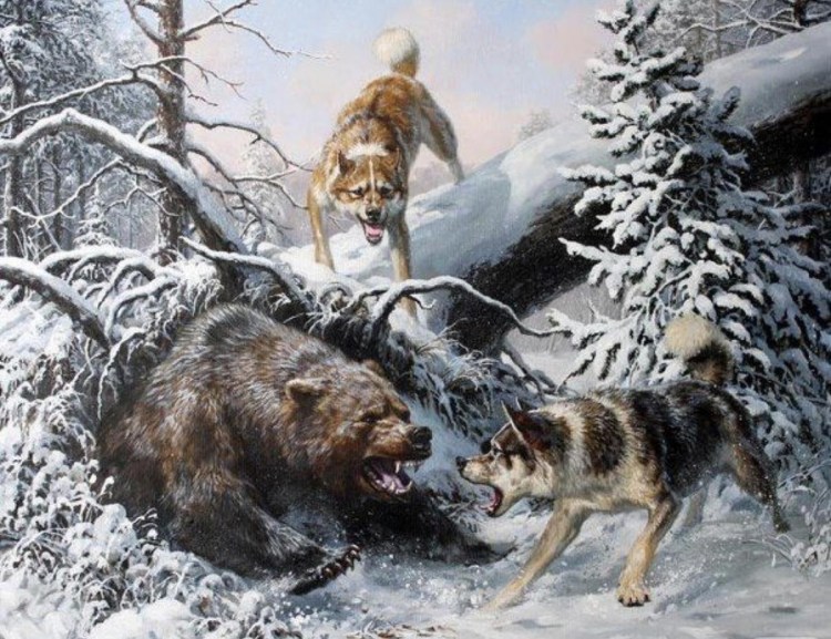 Охота туристов