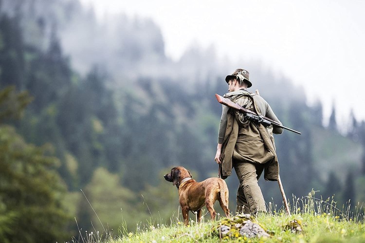 Современный охотник