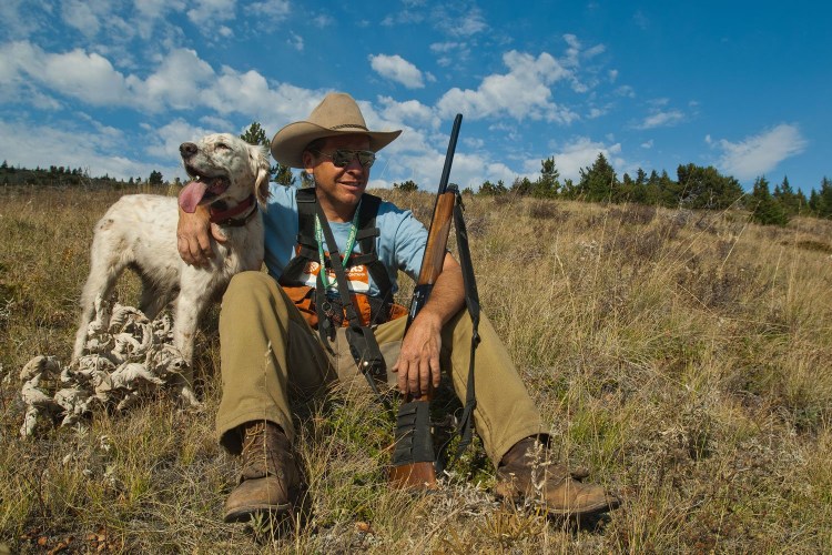 Охотница собака