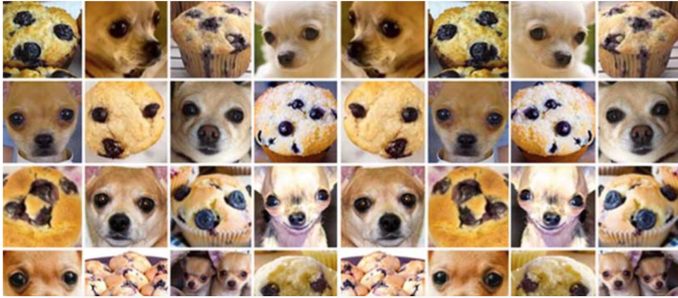 Чихуахуа печеньки