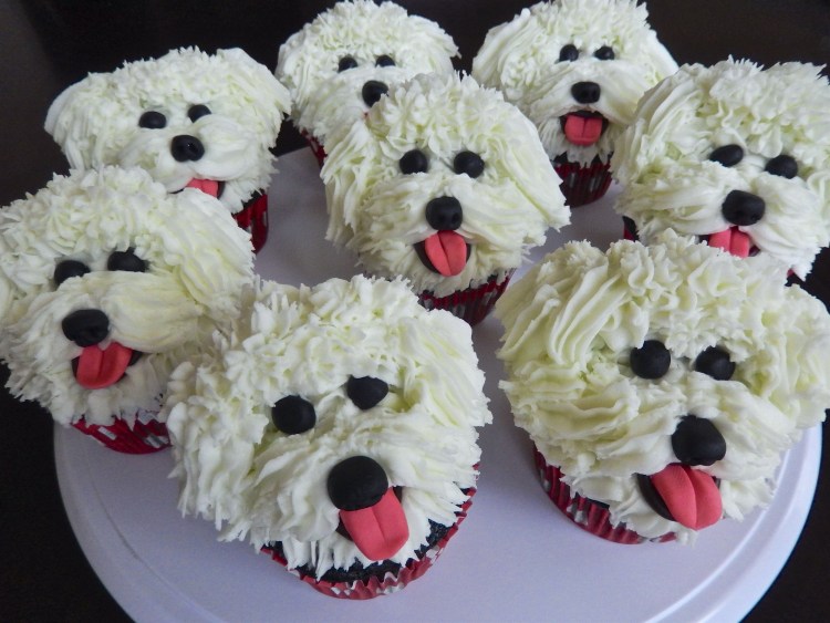 Торт Бишон фризе