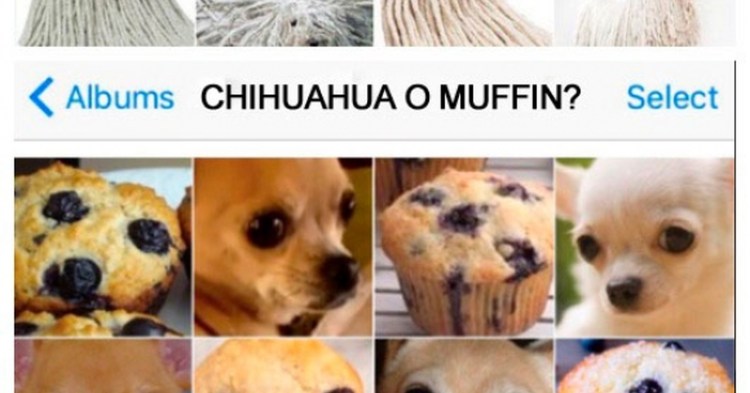 Нейросеть собака Маффин