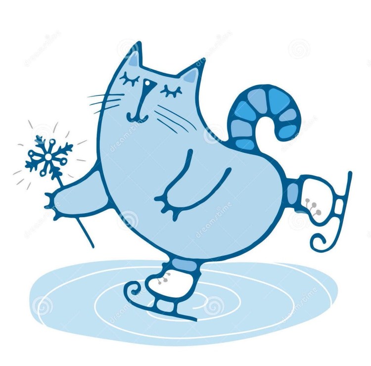 Кот катается на коньках