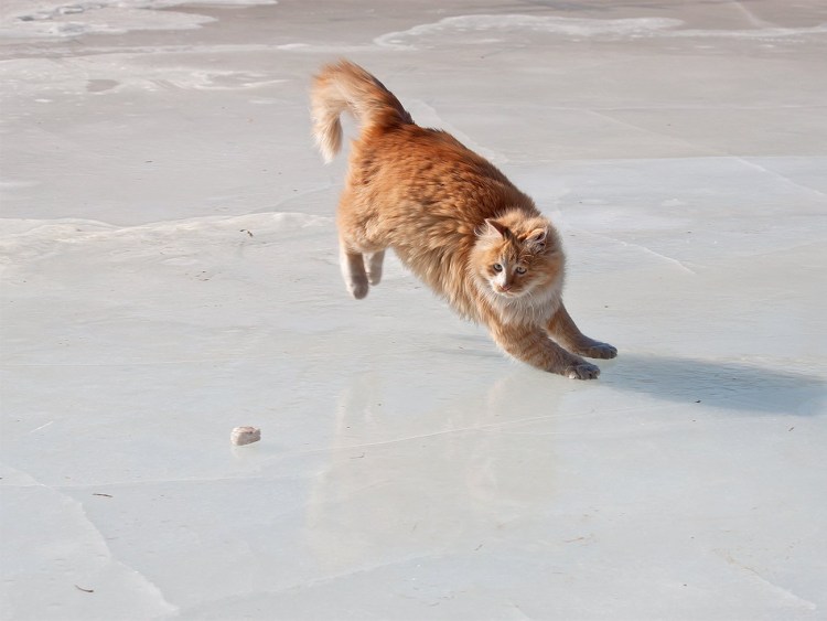 Кошки для гололеда