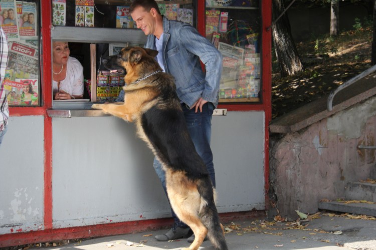 Сергей Безруков пограничник
