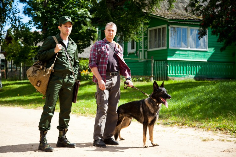 Порода собаки Блэк хаунд