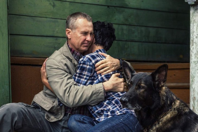 Английская гончая бладхаунд