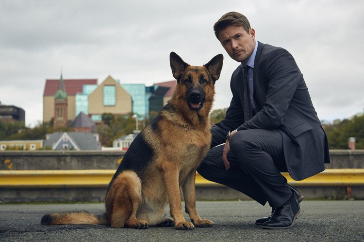 Граф Шутц Хунд