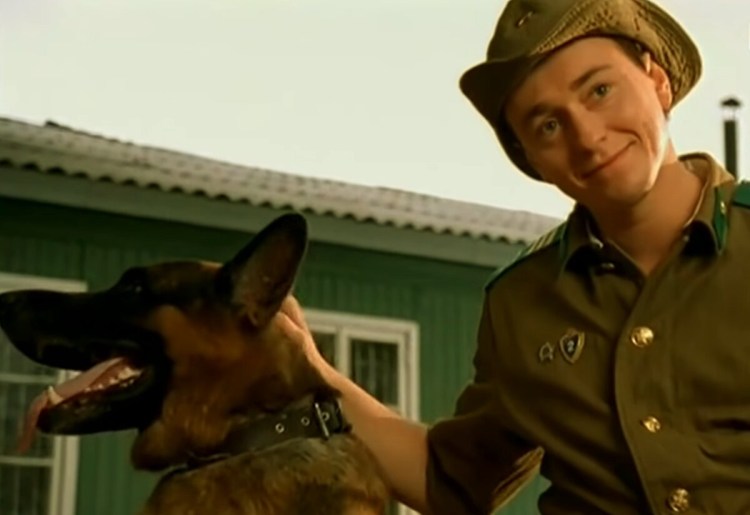 Бладхаунд породы собак Франции