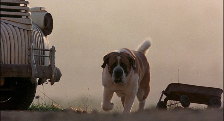 Максим Максимов сериал пес