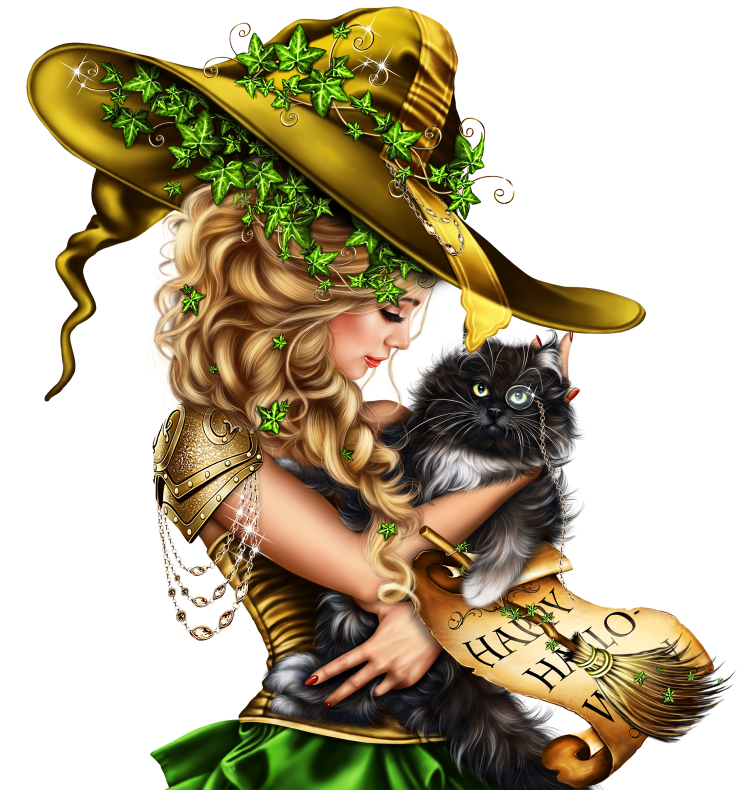 Черный кот в шляпе