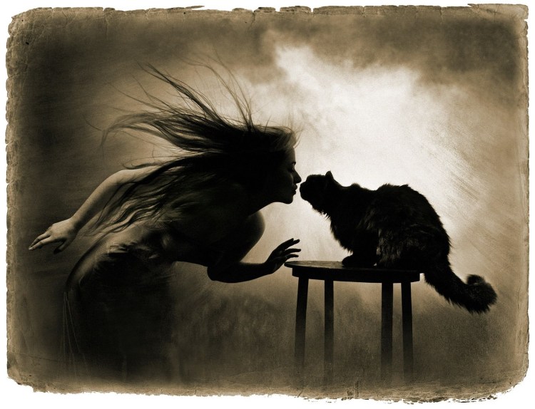 Ведьма и черные коты