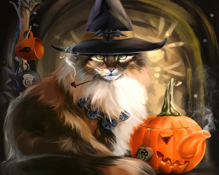 Хэллоуин кошка