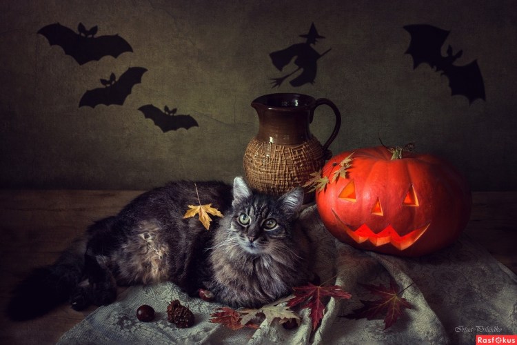 Фамильяр дух