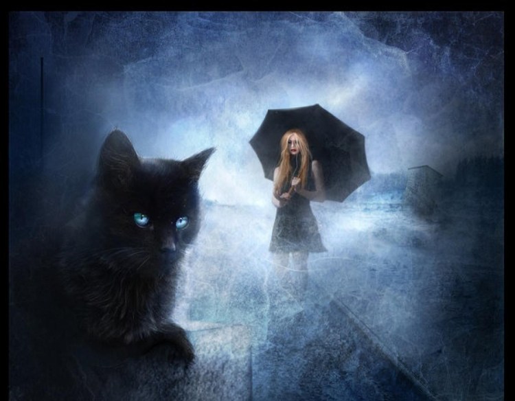 Ведьмочка с котом