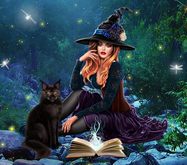 Ведьмочка с котом