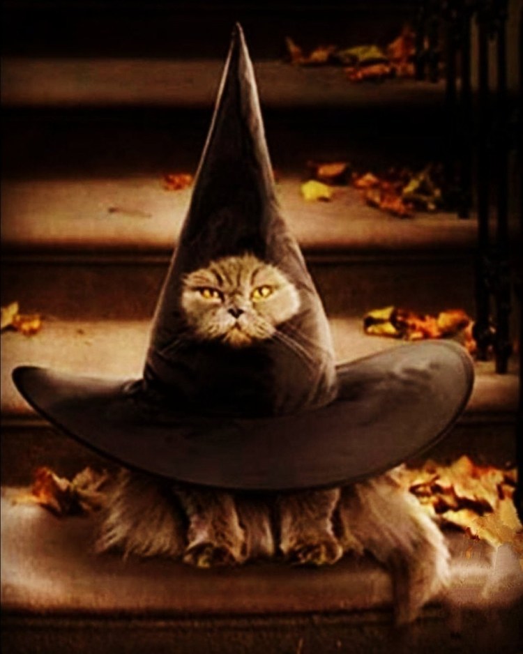 Колдунья с кошкой