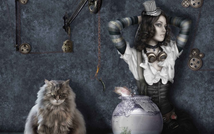 Ведьма с котом