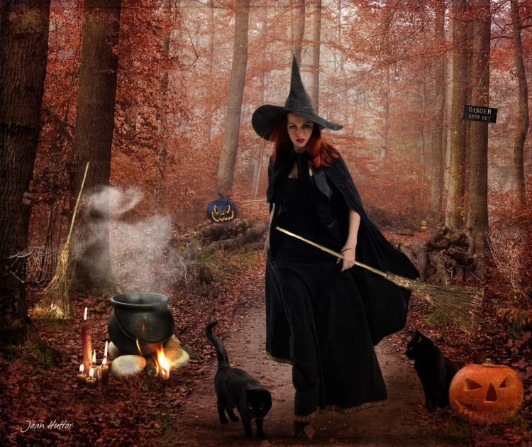 Ведьма с кошкой