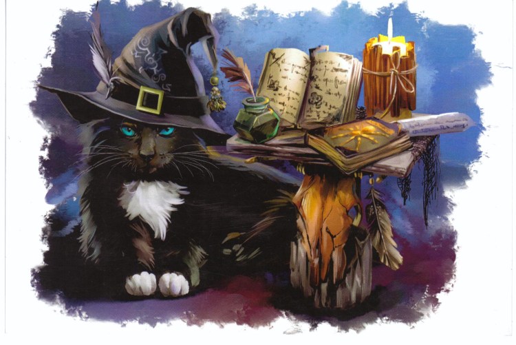Фамильяр ведьмы черный кот