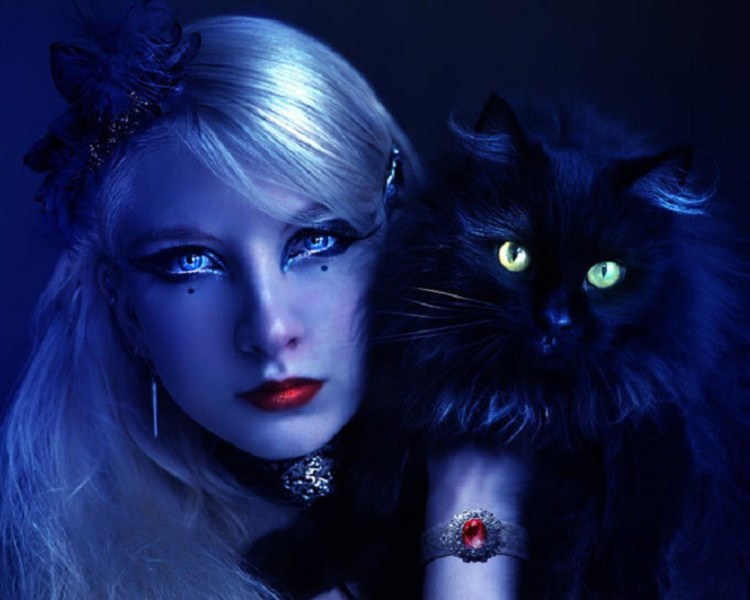 Ведьма с котом