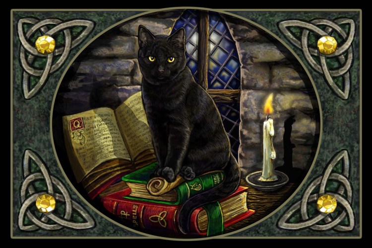 Колдунья с кошкой