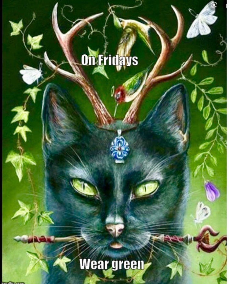 Девушка и кот фэнтези