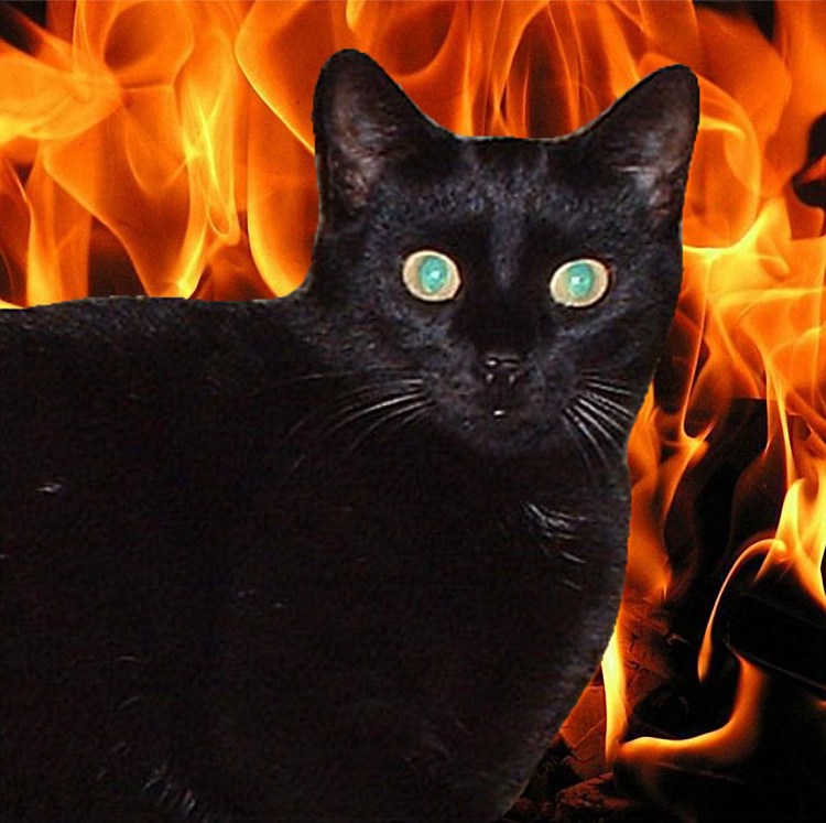 Дьявольски кот