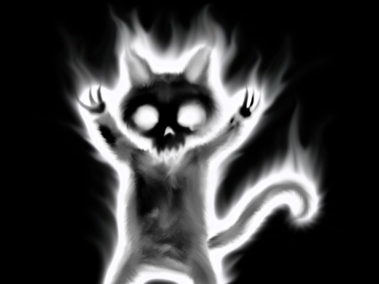 Злой кот демон