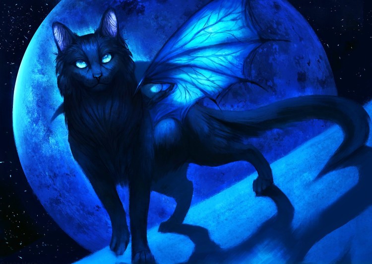 Фамильяр черный кот