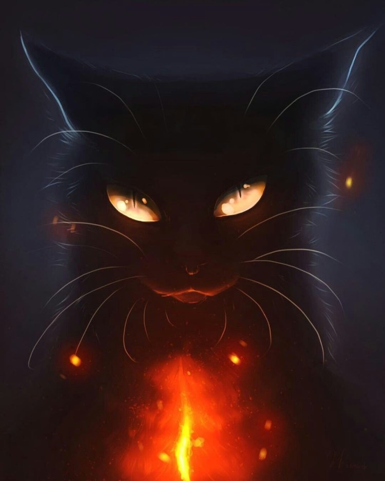 Черный кот коты Воители арт