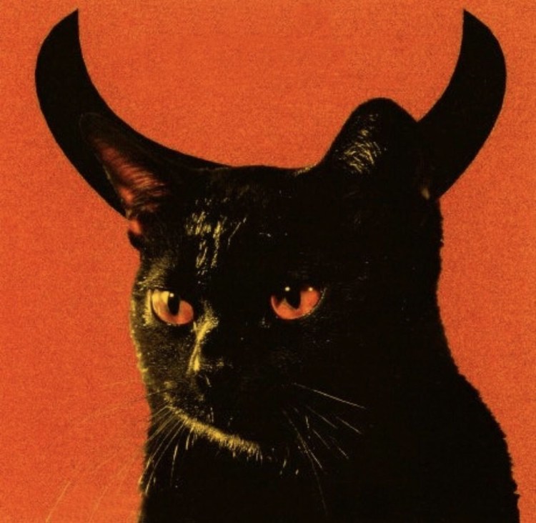 Кошка сатана