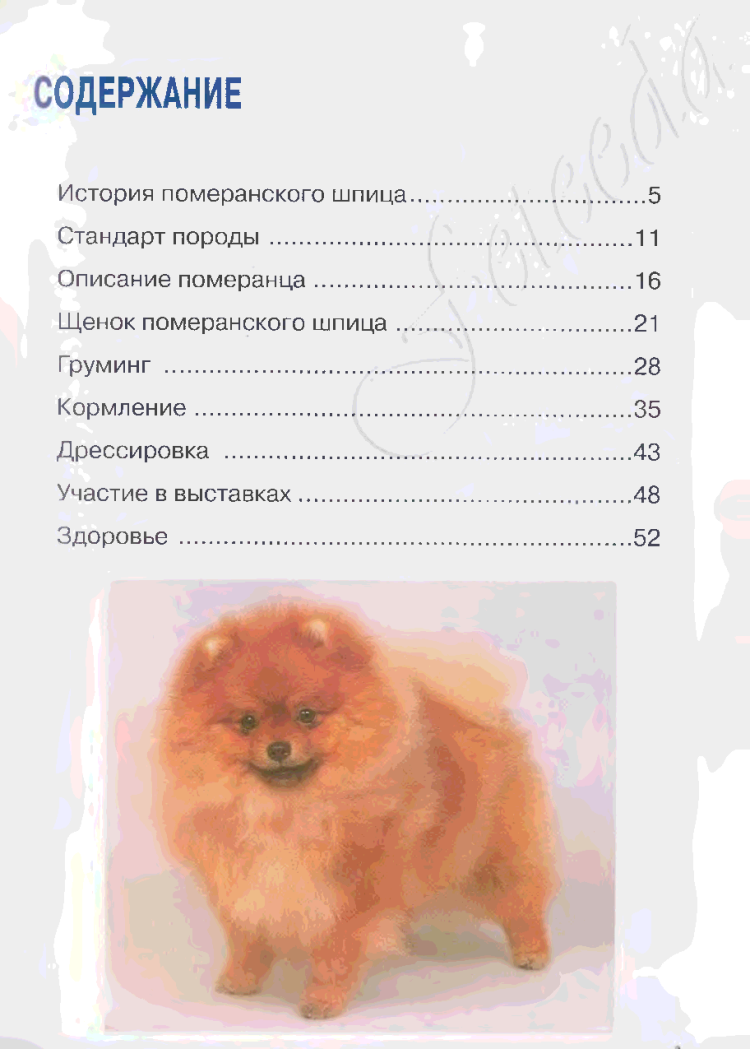 Схема стрижки Йорка мини