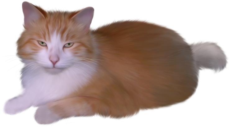 Пушистая кошка