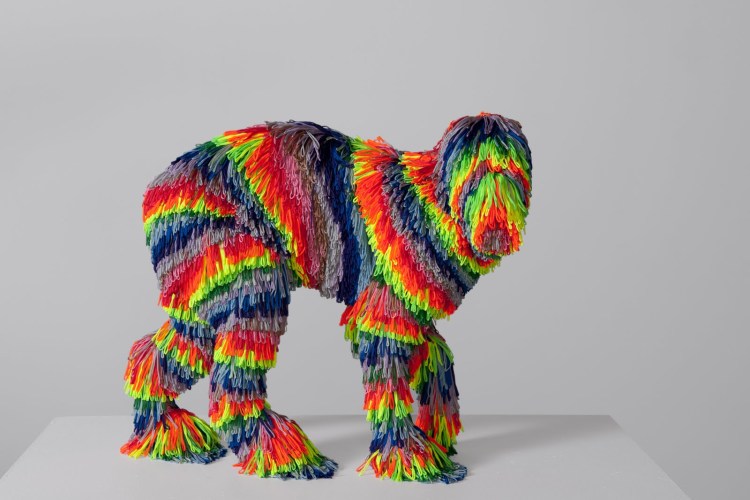 Разноцветные собаки