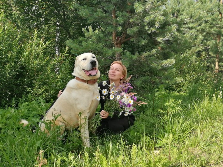 Алабай далматинец