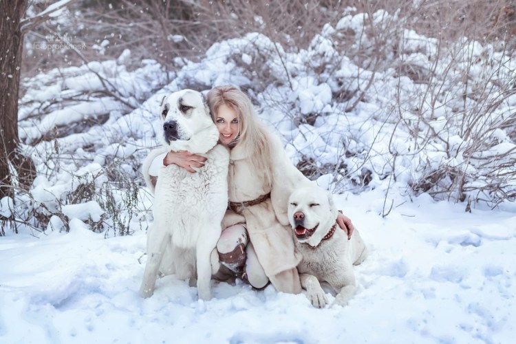 Девушка с алабаем