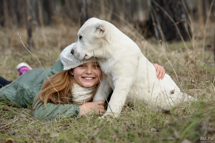 Президент РКФ Иншаков Александр