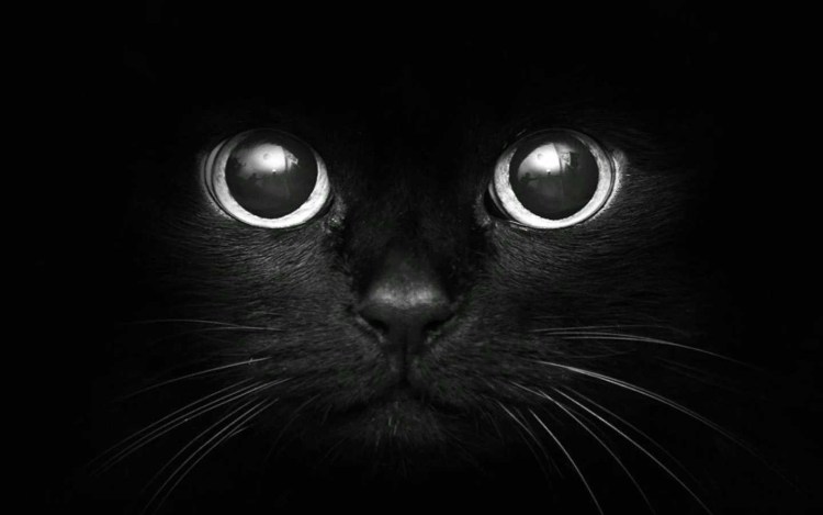 Чехол на ЗТЕ блейд а7 2020