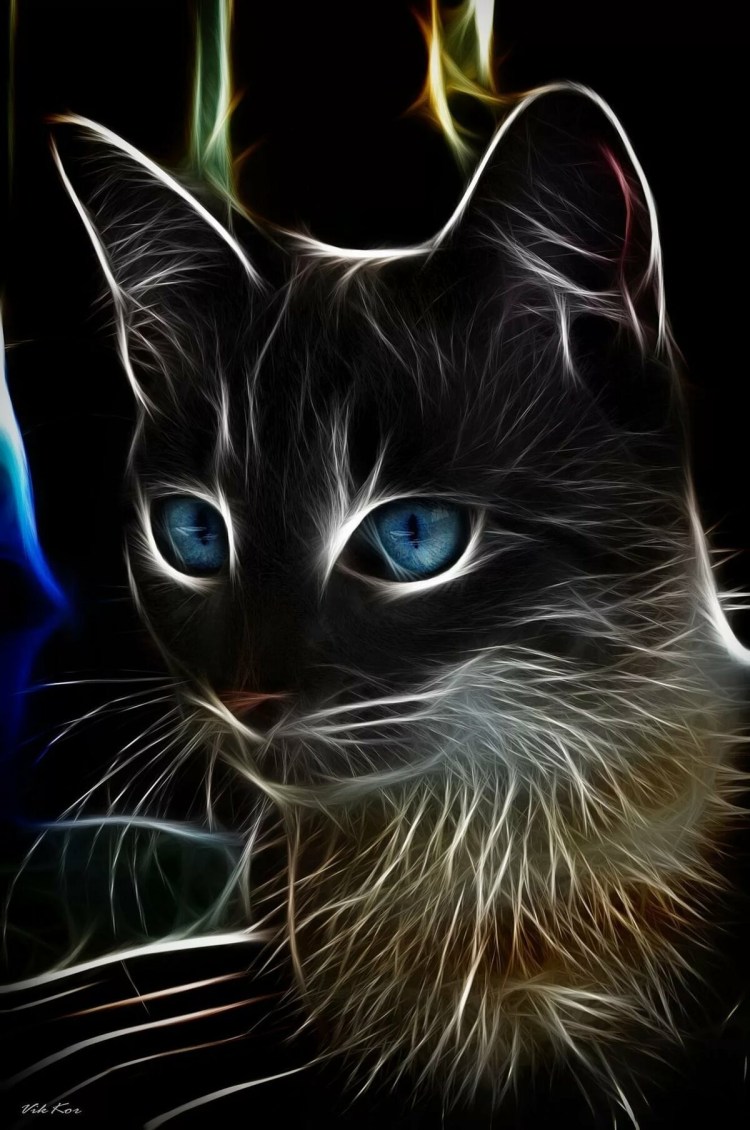 Кошка арт