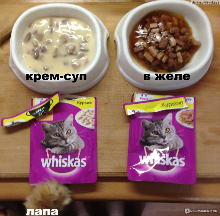 Кити Кэт корм для кошек