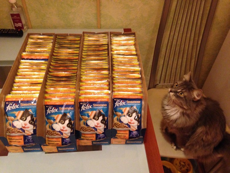 Корм tasty конс д/Кош с говядиной в желе пауч 85г